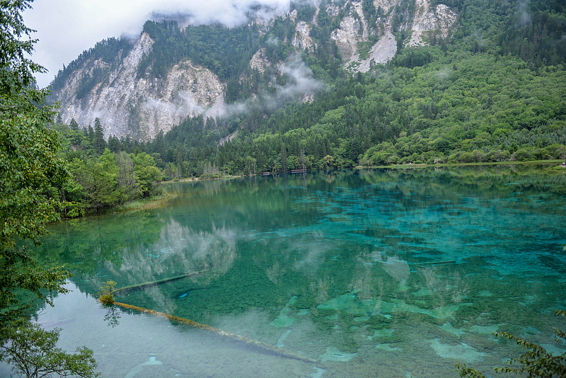 Emerald lakes sit nestled in the mountains of Jiuzhaigou National Park, southwest China's Sichuan Province. /CFP