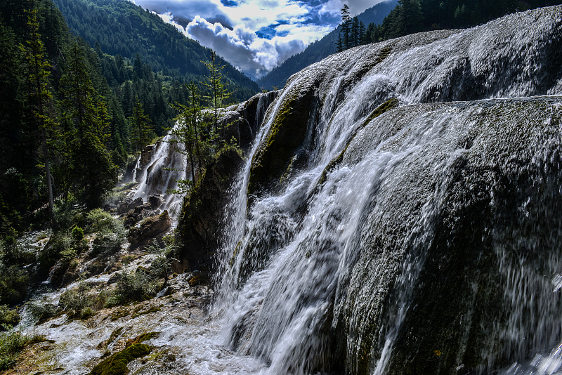Waterfalls cascade down from tree-covered cliffs at Jiuzhaigou National Park, southwest China's Sichuan Province. /CFP