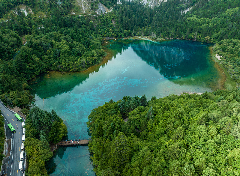 Emerald lakes sit nestled in the mountains of Jiuzhaigou National Park, southwest China's Sichuan Province. /CFP