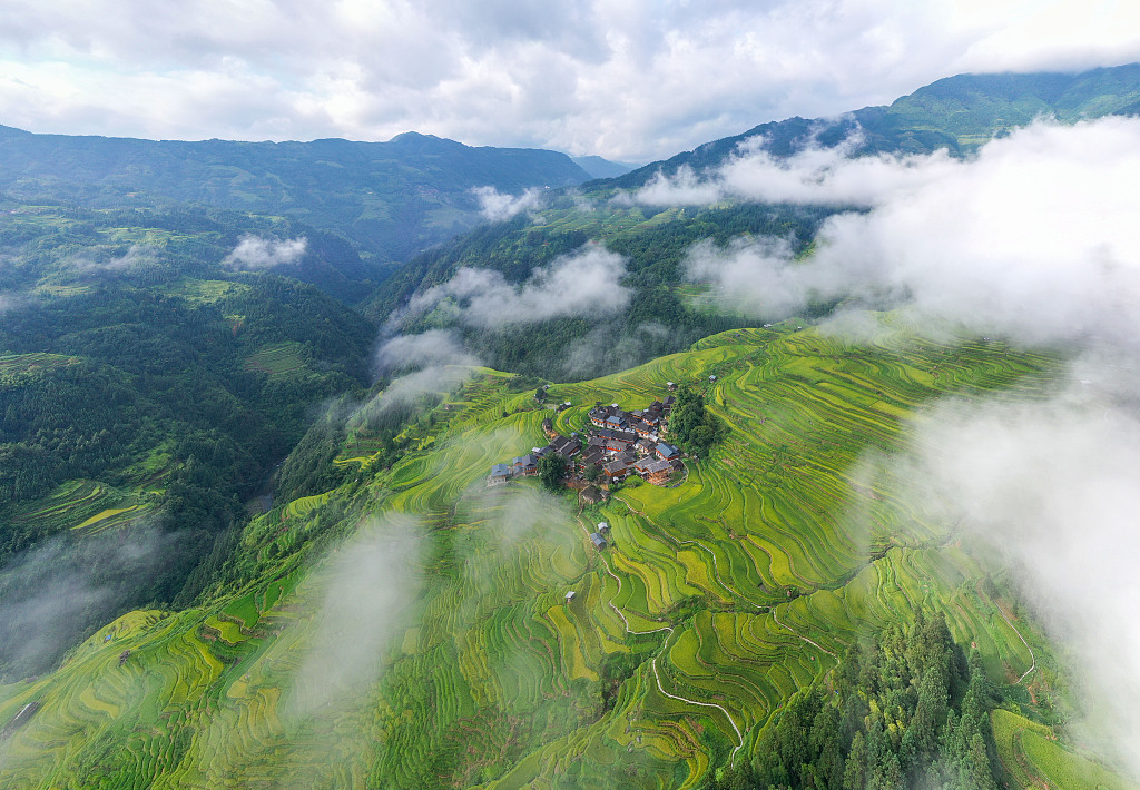 The Jiabang Terrace Fields in Congjiang County, southwest China's Guizhou Province, are seen shrouded in mist and cloud on August 26, 2023. /CFP