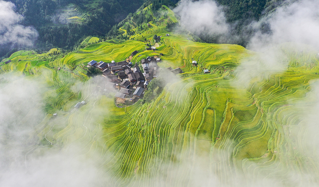 The Jiabang Terrace Fields in Congjiang County, southwest China's Guizhou Province, are seen shrouded in mist and cloud on August 26, 2023. /CFP