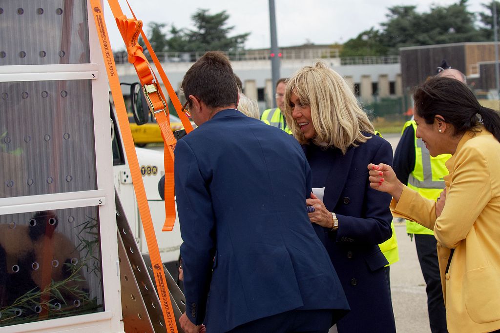 French First Lady Brigitte Macron (C) looks at giant panda Yuan Meng as it lies in its box in an airport cargo area before boarding a plane at the Roissy-Charles-de-Gaulle airport to Chengdu in China's Sichuan Province, on July 25, 2023. /CFP