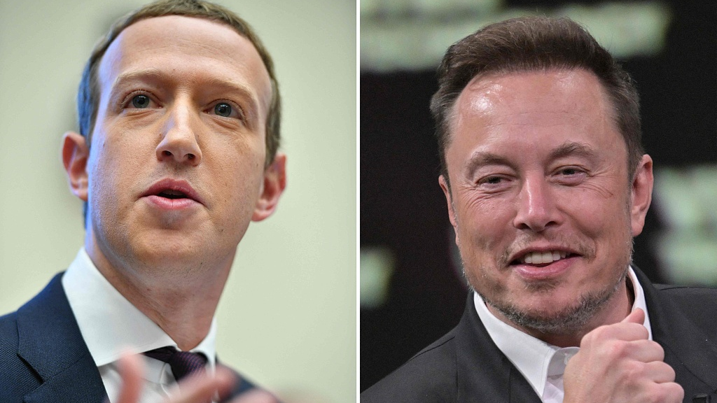 Meta Platforms CEO Mark Zuckerberg (L), and Tesla CEO Elon Musk (R) will attend an artificial intelligence forum held by the U.S. Senate on September 13. /CFP