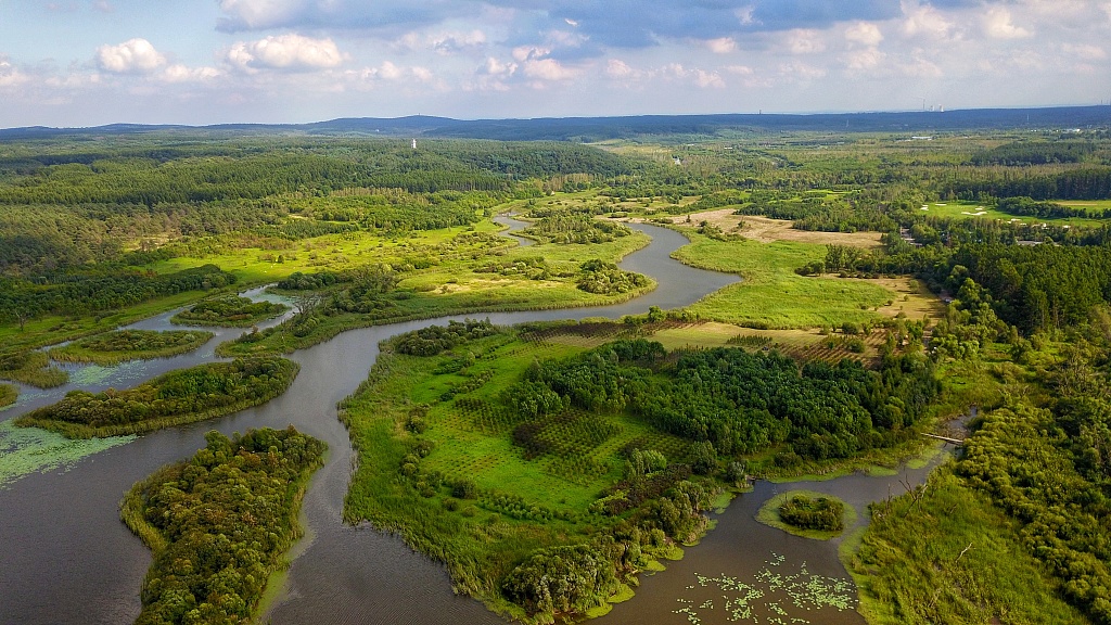 Live: View of Jingyuetan National Scenic Area – the 'green pearl' in Changchun