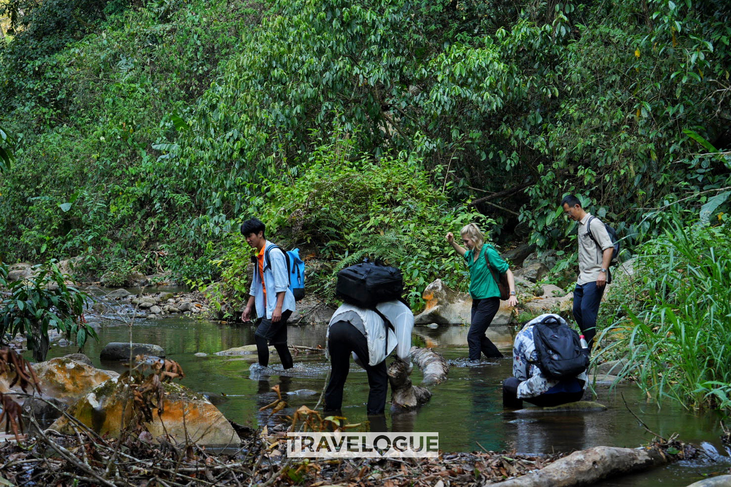 CGTN reporters embark on an enthralling nature-filled adventure in the tropical rainforest of Xishuangbanna, Yunnan Province. /CGTN