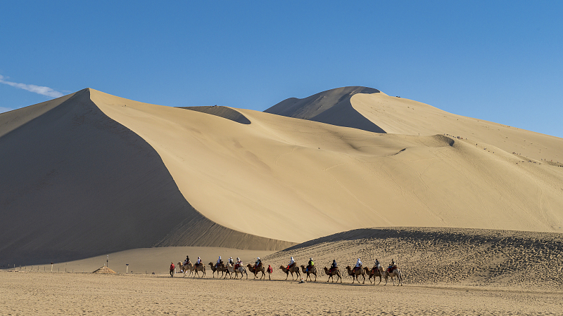 Live: Camel riding on Mingsha Moutain
