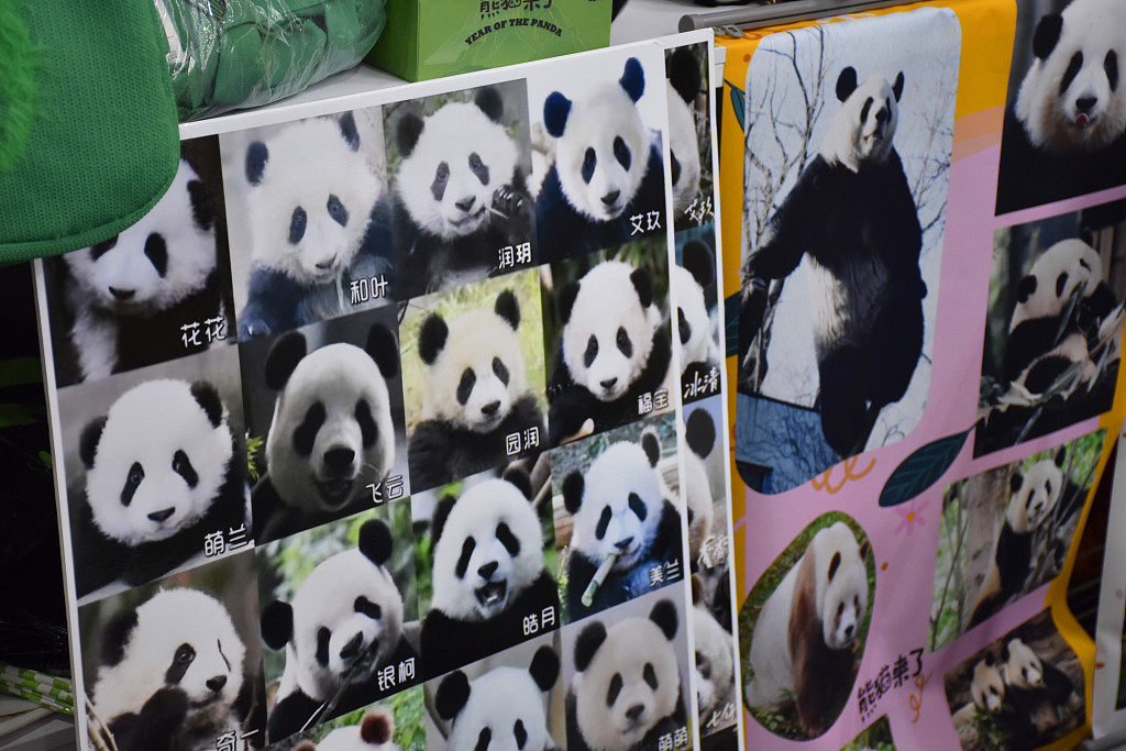 Panda-themed products are displayed at the China International Fair for Trade in Services (CIFTIS) in Beijing on September 2, 2023. /CFP