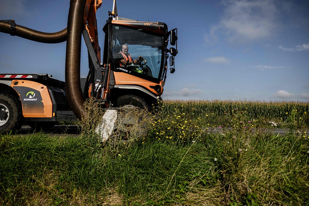 An employee drives an agricultural mower on a roadside onto which ambrosia plants grow near Simard, western France, August 16, 2023. Authorities are trying to contain this invasive and highly allergenic exotic plant. /CFP