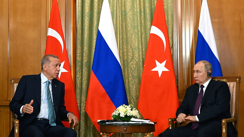 Putin, Erdogan meet in Sochi - CGTN