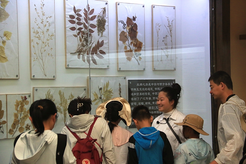 The file photo shows tourists visiting a museum at Yangguan Pass scenic spot in Dunhuang City, Gansu Province. /CFP