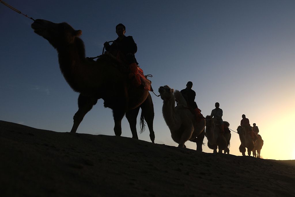 A photo taken on September 3, 2023, shows visitors riding camels through the desert in Dunhuang, Gansu Province. /CFP