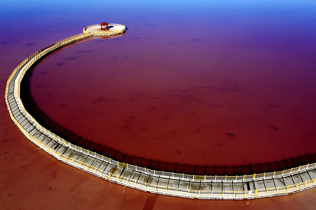 A photo taken on August 27, 2023 shows the walkway on Tuolekule Lake that leads visitors to a pink paradise in Hami, Xinjiang. /CFP