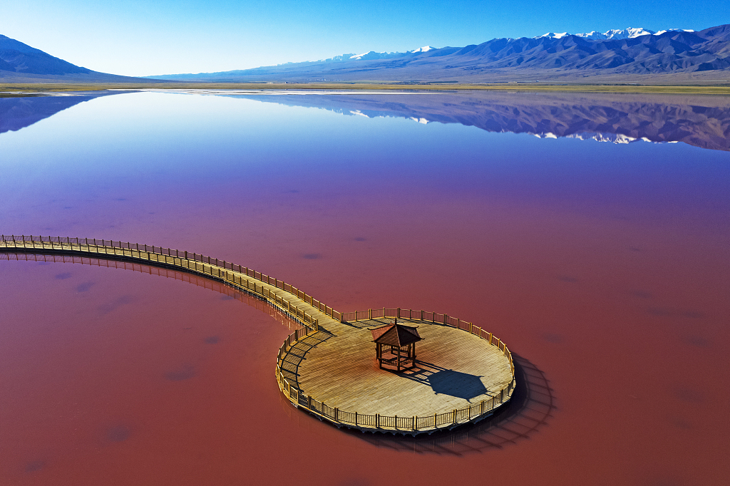 A photo taken on August 27, 2023 shows the walkway on Tuolekule Lake that leads visitors to a pink paradise in Hami, Xinjiang. /CFP