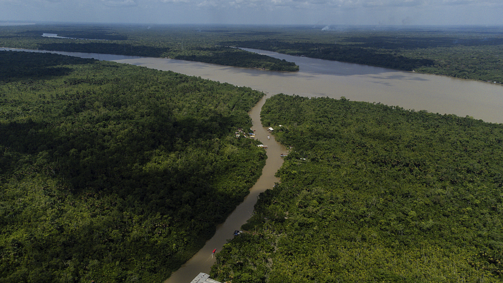 A view of the Guama River and the Amazon rainforest in Belem, Brazil, August 7, 2023. /CFP