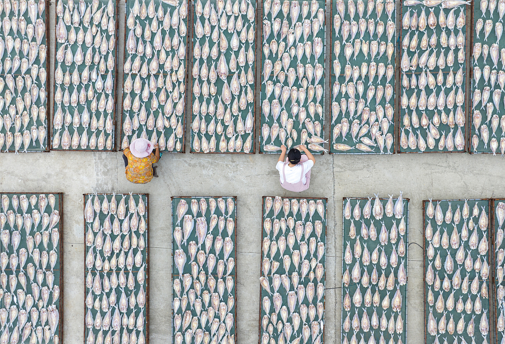 A photo taken on September 4, 2023 shows an aerial view of local farmers sun-drying various species of fish in Longji Town, Suqian, Jiangsu Province, China. /CFP