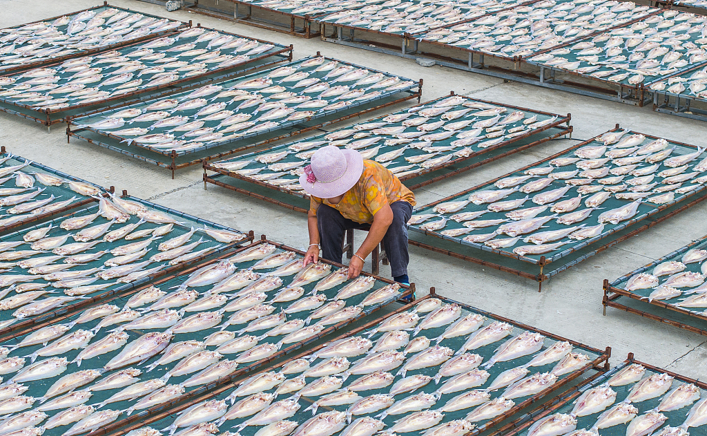 A photo taken on September 4, 2023 shows a local farmer sun-drying various species of fish in Longji Town, Suqian, Jiangsu Province, China. /CFP