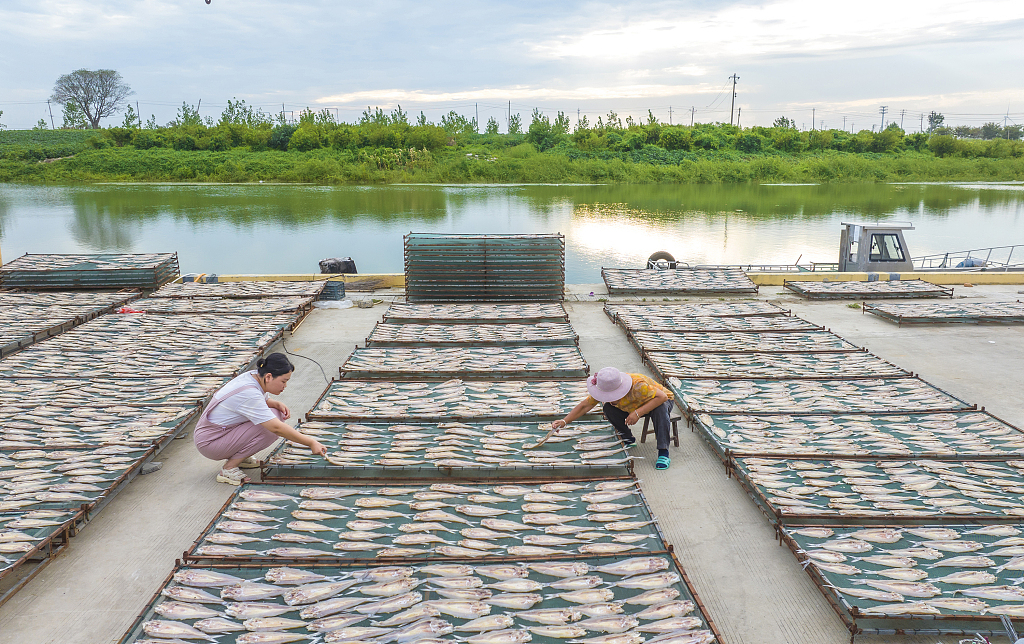 A photo taken on September 4, 2023 shows local farmers sun-drying various species of fish in Longji Town, Suqian, Jiangsu Province, China. /CFP