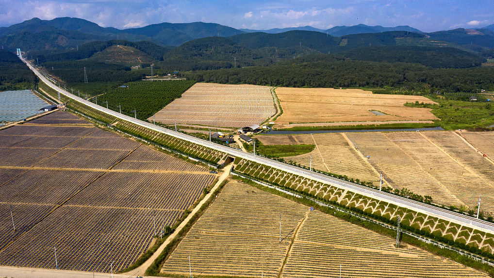 The China-Laos railway in Jinghong, Xishuangbanna Dai Autonomous Prefecture, southwest China's Yunnan Province, November 23, 2021. /CFP