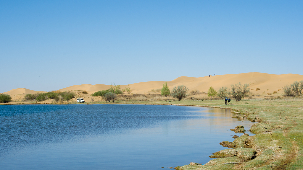 Scenery of the Qixing Lake and trees on its bank in Kubuqi Desert. /CFP
