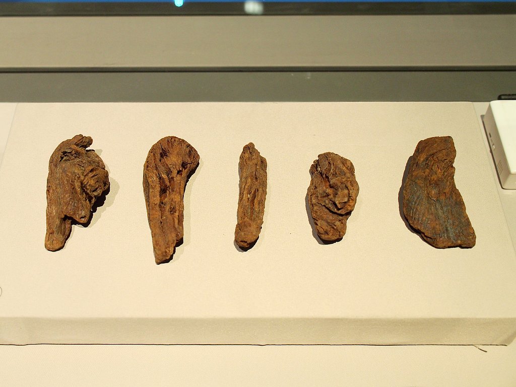 Photo taken on September 6, 2023 shows ancient tea tree root remnants on display at the Palace Museum in Beijing. /CFP