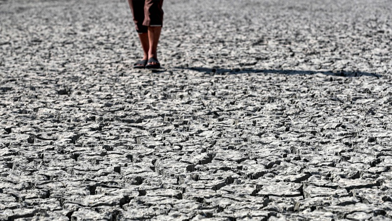 A man walks on cracked mud covering the surface of a dry fish farm in the village of Albu Mustafa in Hilla, about 100 km (62 miles) south of Baghdad, Iraq, July 6, 2023. /CFP