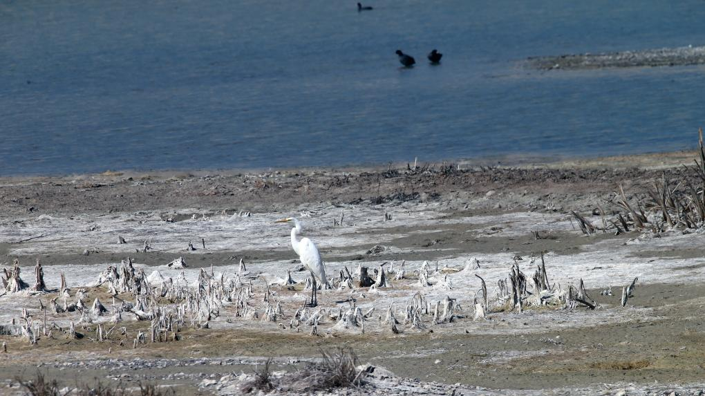 A drought-affected area of Duden Lake in Ankara, Türkiye, September 5, 2023. /Xinhua 