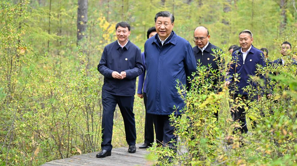 General Secretary of the Communist Party of China Central Committee Xi Jinping, also Chinese president and chairman of the Central Military Commission, inspects a forest farm in Mohe in the Dahinggan Mountains, northeast China's Heilongjiang Province, September 6, 2023. /Xinhua