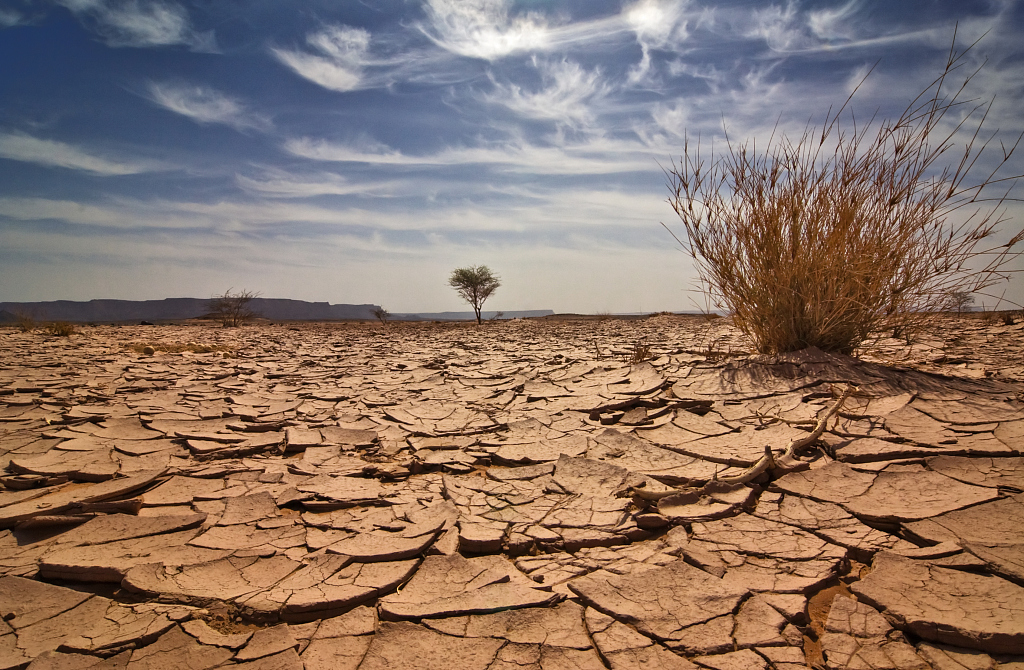 Drought in Libya. /CFP