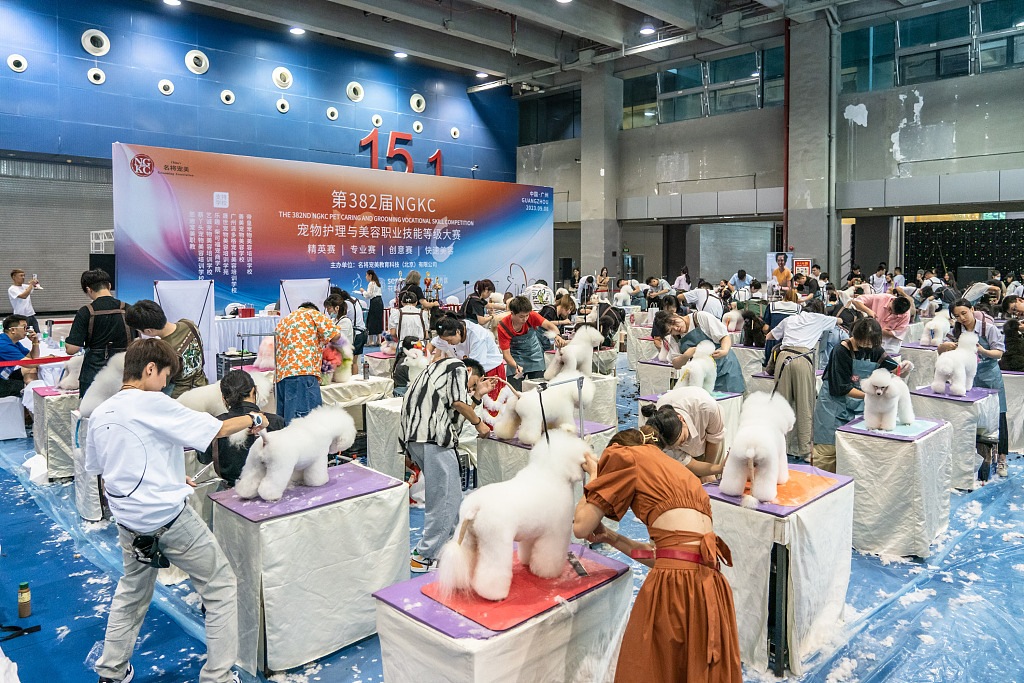 A dog hairdo contest is held at a trendy pet exhibition on September 8, 2023, in Guangzhou, Guangdong Province. /CFP