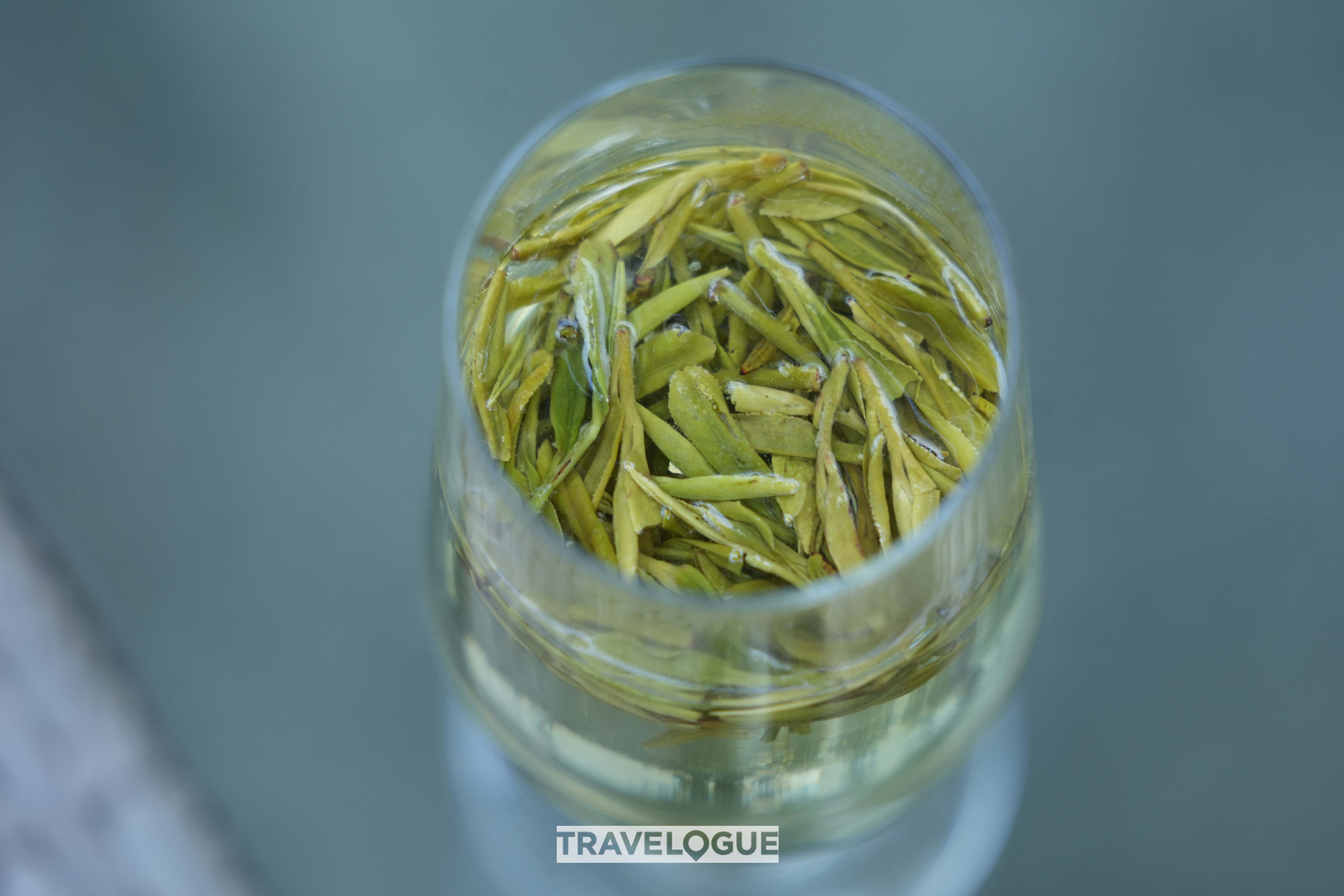 This undated photo shows a glass of Longjing tea in Hangzhou, east China's Zhejiang Province. /CGTN