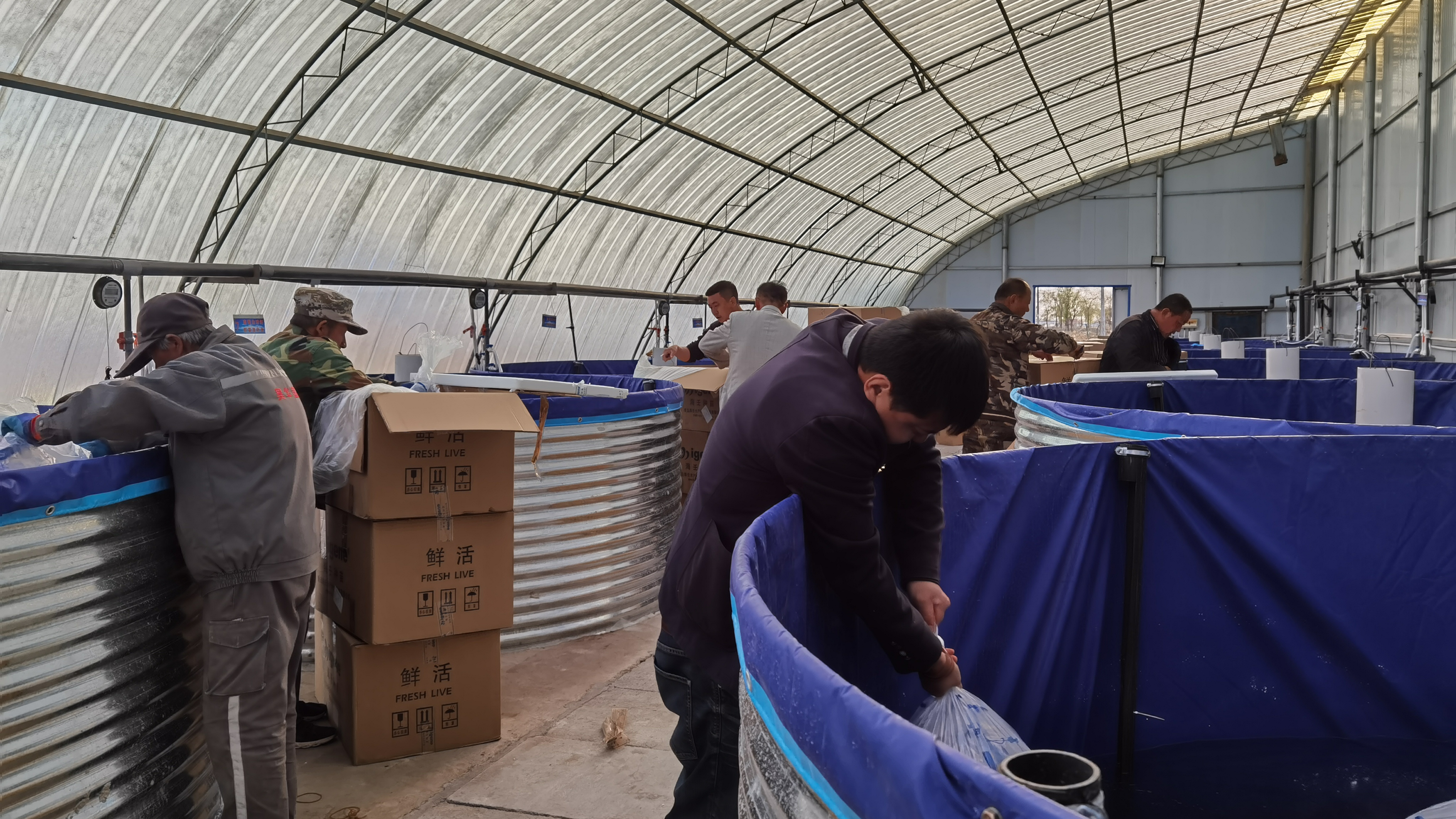 Experts and shrimp farmers prepare for shrimp larvae desalination in a greenhouse, Duguitala Town, Hangjin Banner, Ordos City, north China's Inner Mongolia Autonomous Region, May 2023. /OAAHB