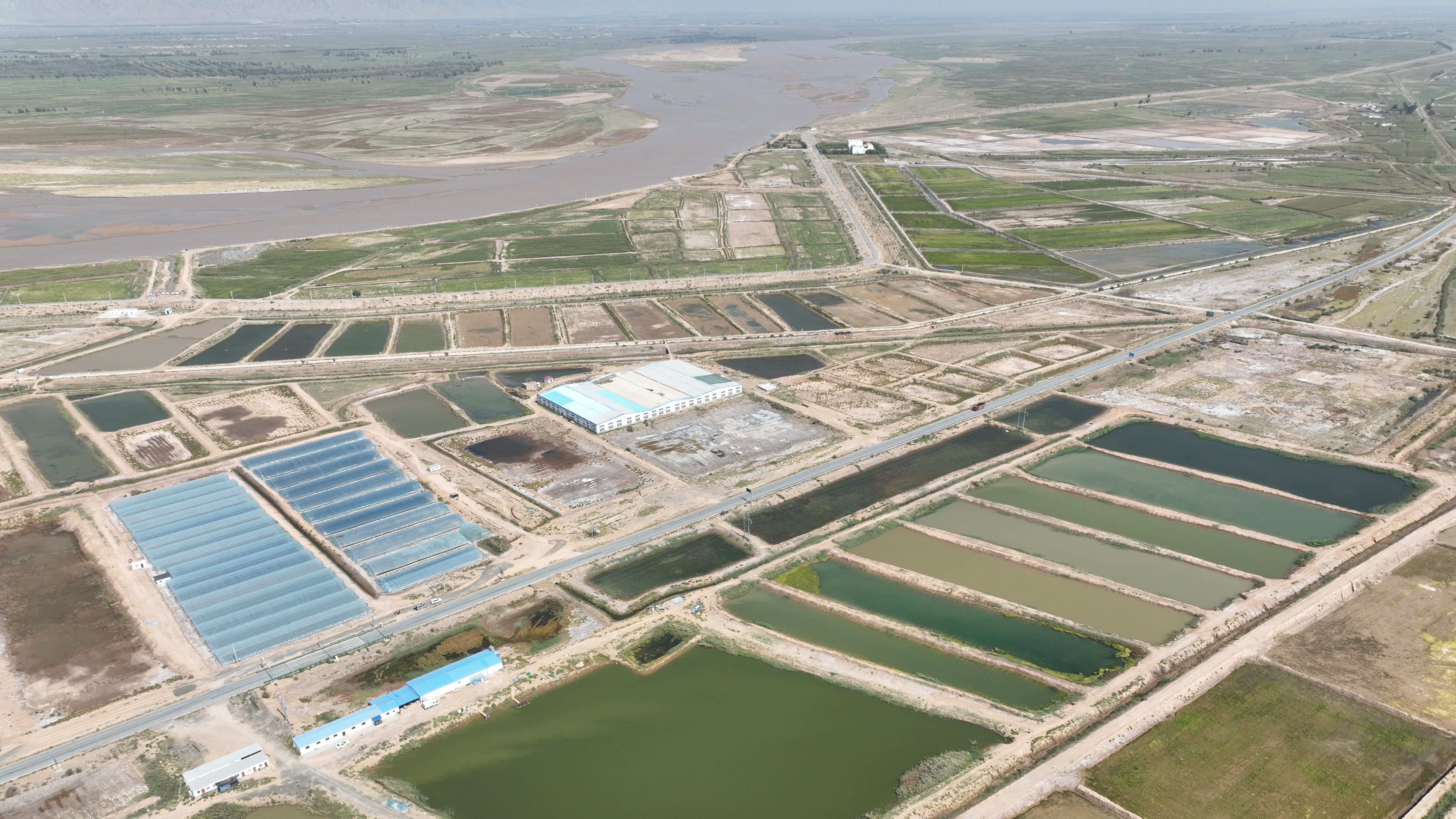 Aerial view of a shrimp farm, with ponds and greenhouses, and the Yellow River, Duguitala Town, Hangjin Banner, Ordos City, north China's Inner Mongolia Autonomous Region, September 7, 2023. /OAAHB