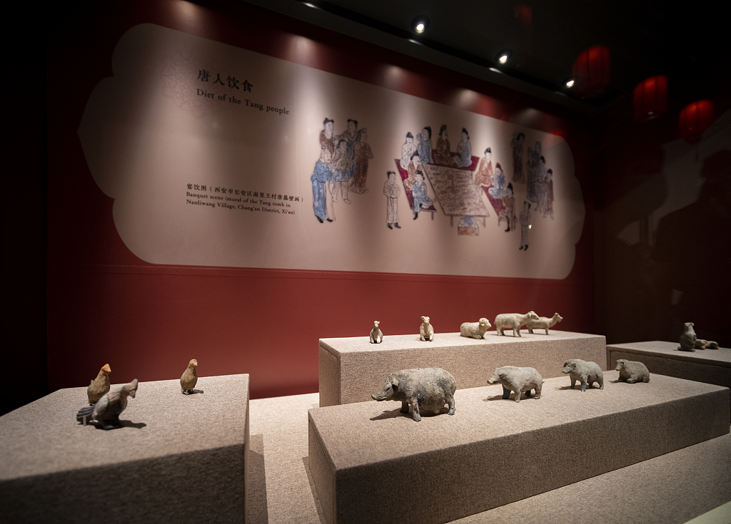 A photo taken on September 9, 2023, shows cultural relics on display at the Nanshan Museum in Shenzhen, Guangdong Province, China. /CFP