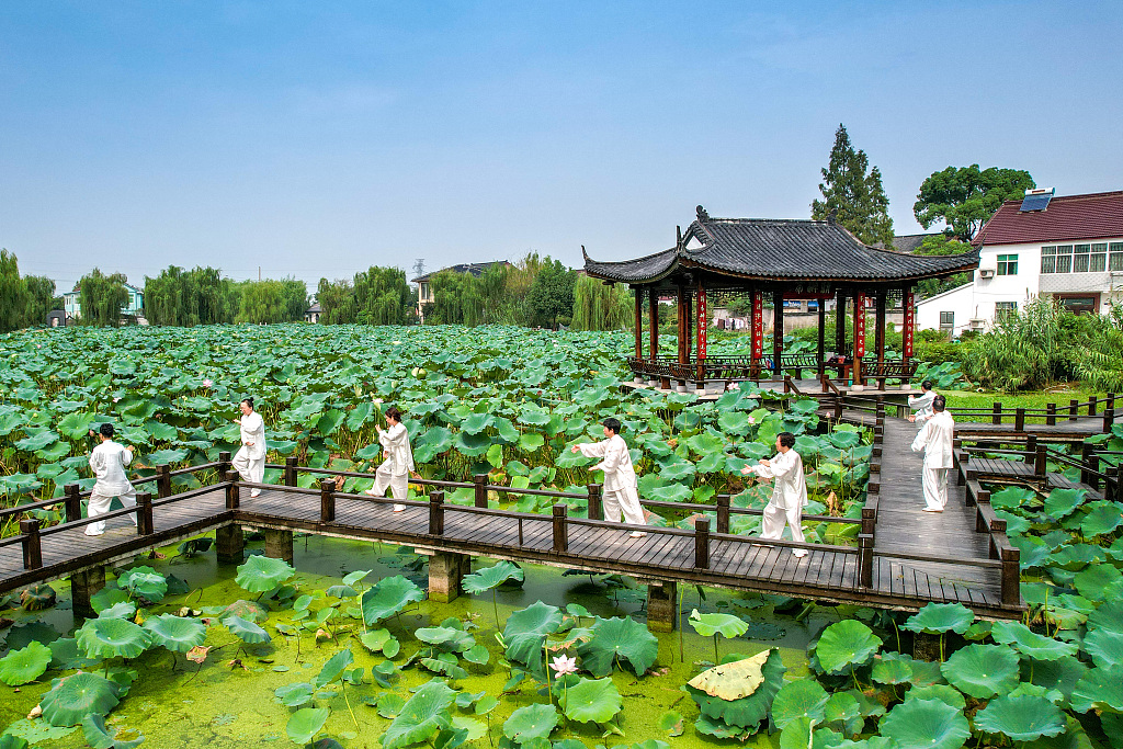 A group of Tai Chi enthusiasts practice the sport of gentle movements and physical postures at a park in Huzhou City, Zhejiang Province, on September 11, 2023. /CFP