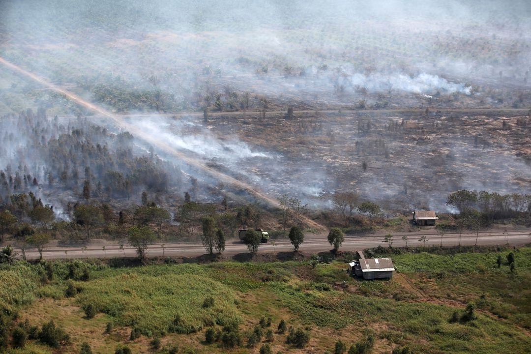 Wooden houses are pictured as smoke covers trees due to forest fires near Banjarmasin in South Kalimantan province, Indonesia, September 9, 2023. /Reuters