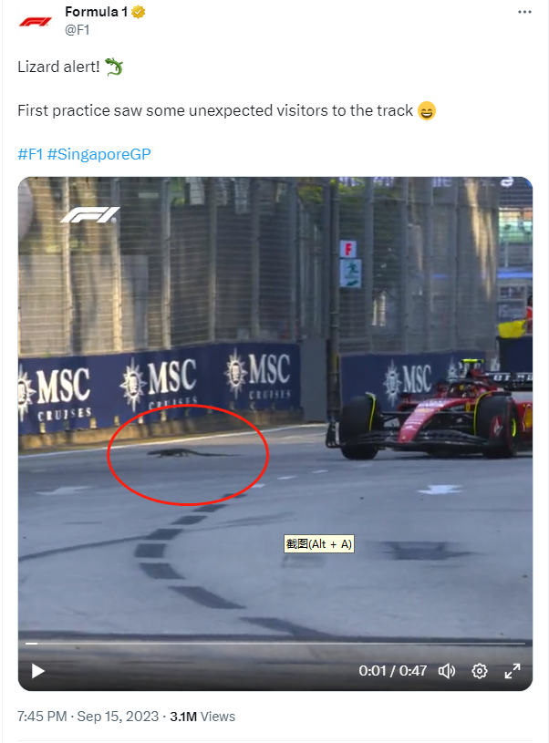 Formula 1's tweet on September 15 about a lizard on the track. /F1