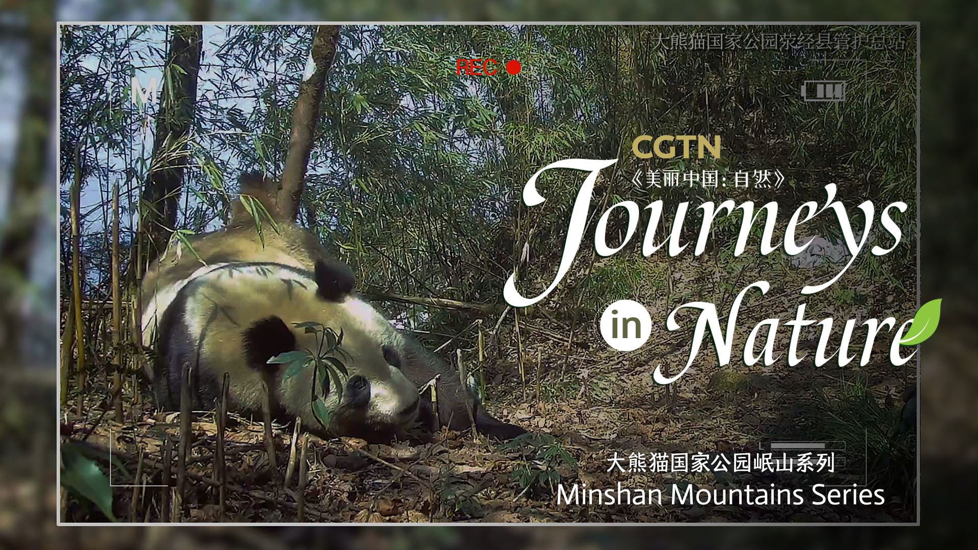 CGTN Nature presents 'Journeys in Nature: Minshan Mountains Series'