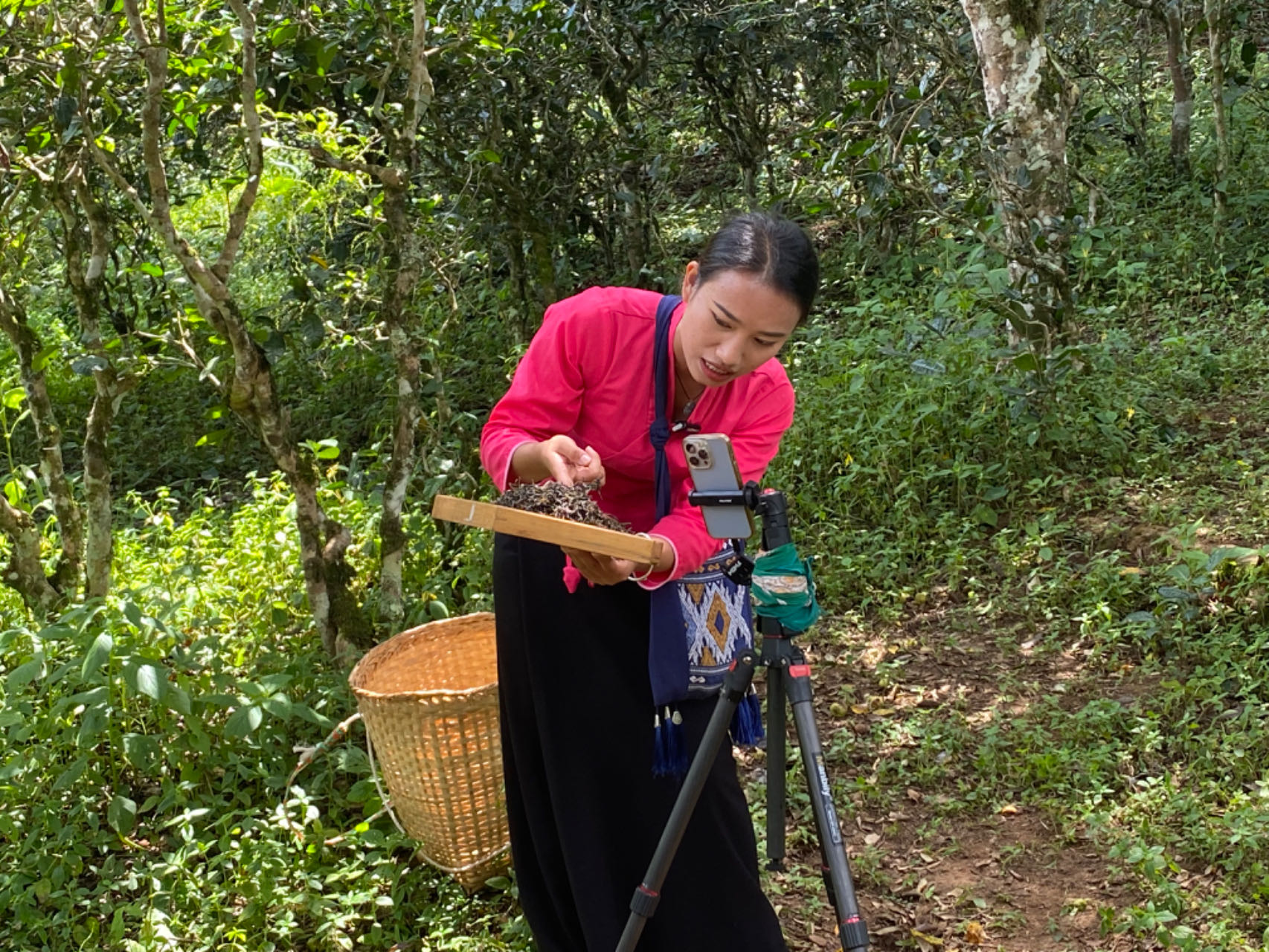 A woman of Dai ethnic group promotes tea via live-streaming platform. Luo Caiwen/CGTN