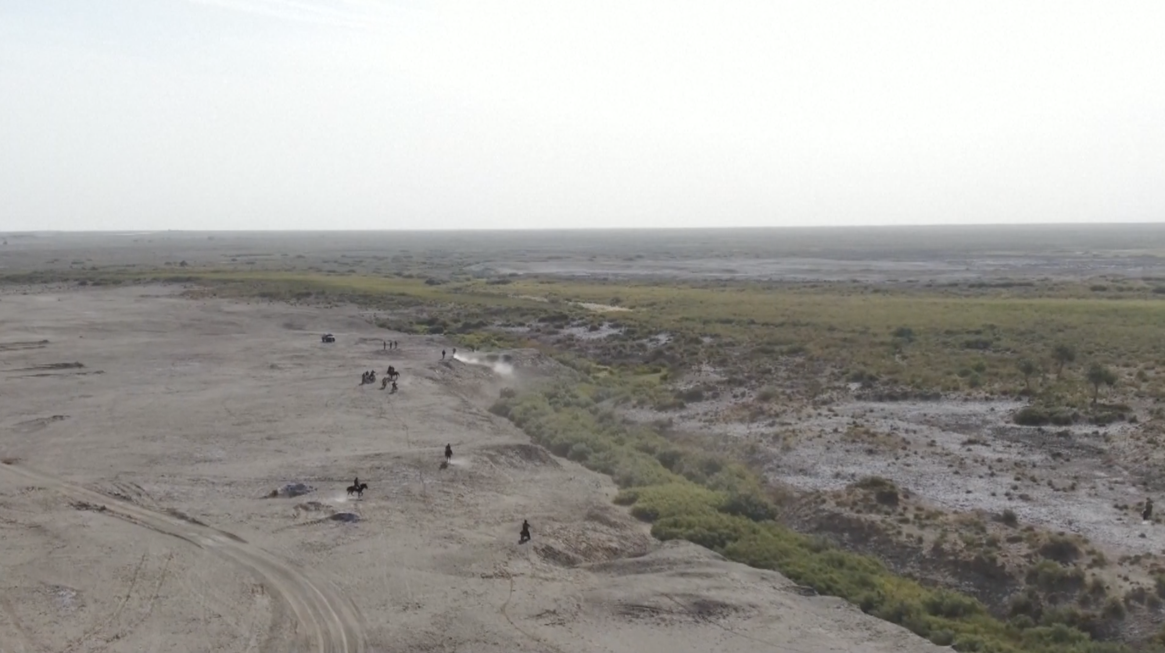 Herdsmen observe the Przewalski's horses from distance. /CMG