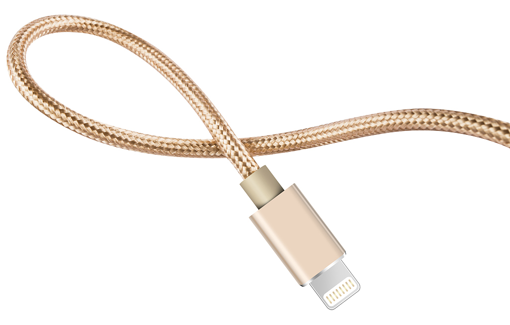 Apple made billions of dollars by limiting the choice of charging cables with its 