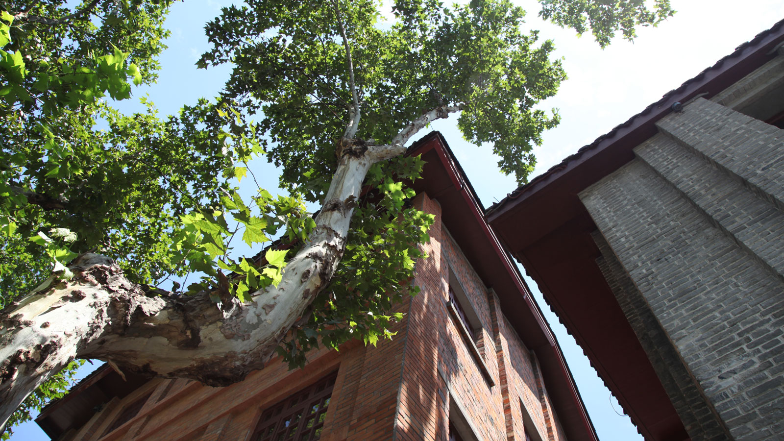 Historical Chengdu street revitalized after major renovation work