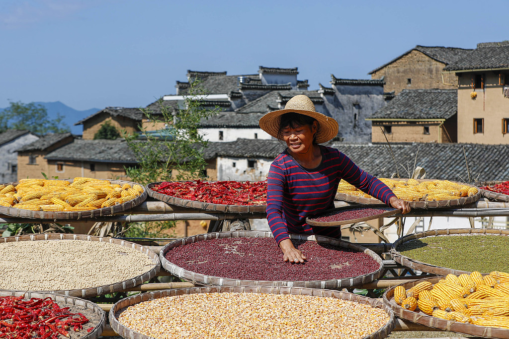 A photo taken on September 18, 2023 shows a farmer sun-drying harvested crops in Huangshan, Anhui Province. /CFP