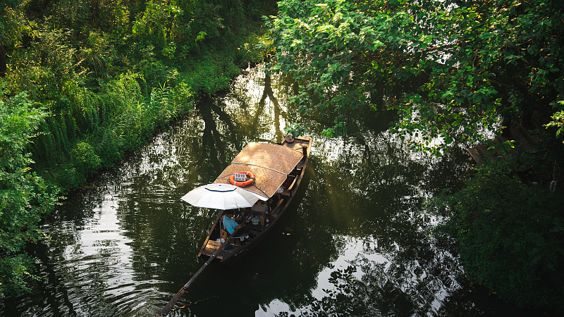  Live: Jiangcun Community of Xixi National Wetland Park in east China's Zhejiang Province