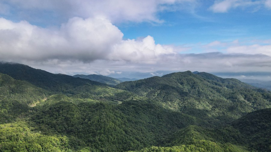 The Wuzhishan section of the Hainan Tropical Rainforest National Park in Wuzhishan City, south China's Hainan Province, May 19, 2022. /Xinhua