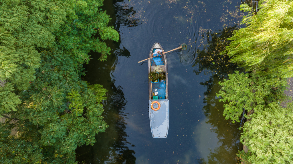 An aerial view of the West Lake scenic area in Hangzhou, east China's Zhejiang Province, photographed on August 11, 2023. /CFP