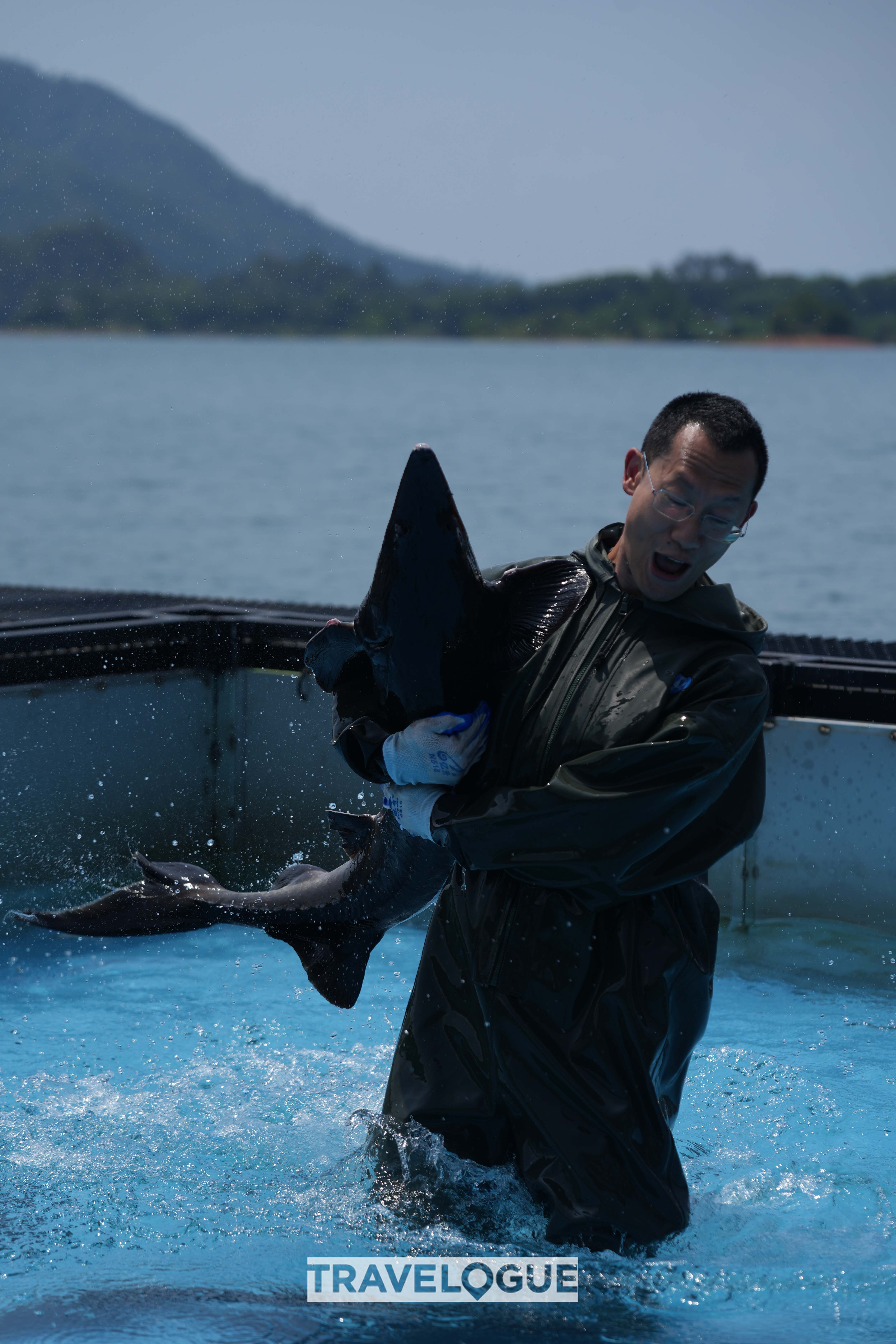 A CGTN host handles a caviar-producing sturgeon in Qiandao Lake, Zhejiang Province. /CGTN