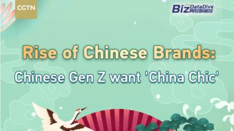 Chinese Gen Riseta BizDataDive: Rise of Chinese brands: Chinese Gen Z want 'China chic' - CGTN