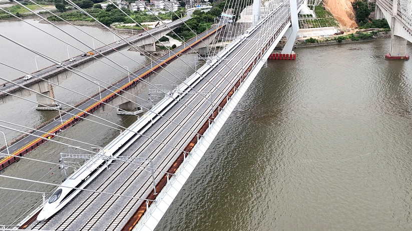 A high-speed train drives on the Wulong River Bridge part of the Fuzhou-Xiamen high-speed railway, August 31, 2023. /CFP