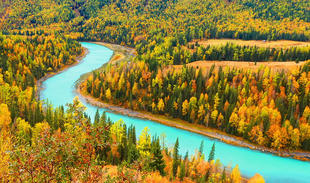 This file photo shows a river running through the lush forest of the Kanas Lake area in northwest China's Xinjiang Uygur Autonomous Region. /CFP