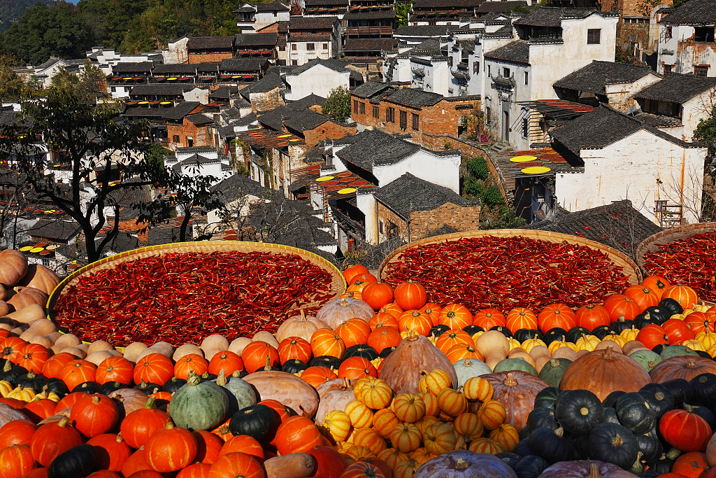 This file photo shows people sun drying their harvest crops in autumn in the village of Huangling in Wuyuan County, Jiangxi Province. /CFP